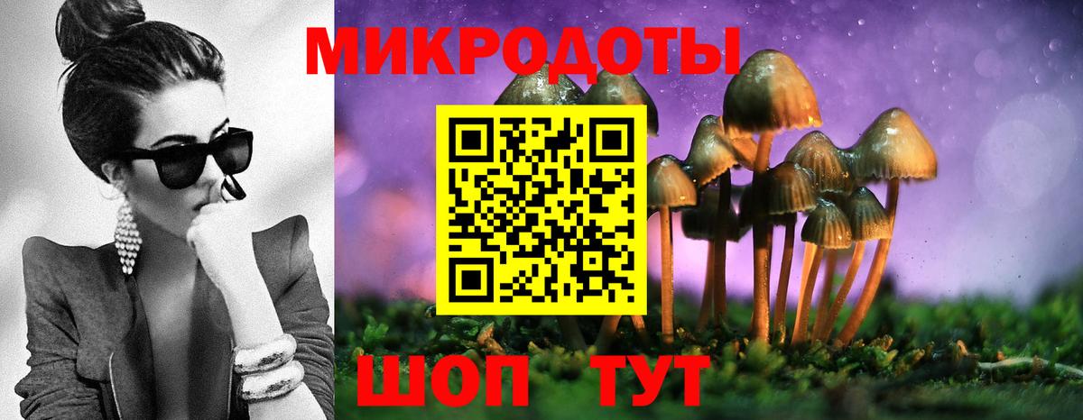 Галлюциногенные грибы Psilocybe  Вход с VPN  Котельники 